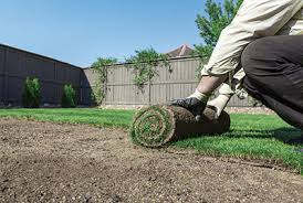 Amending poor soil to grow grass. Nmsu Turfgrass Establishment