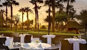 We did not find results for: Splendido Ritz Carlton Jumeirah Beach Residence Jbr Dubai Eat App
