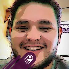 Who can install cameras?