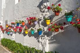 Our plant pots & nursery containers are affordable & great for the greenhouse, patio or the garden. Discover The Flower Power Of Estepona