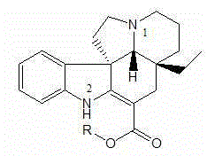 Image result for Voacanga chalotiana