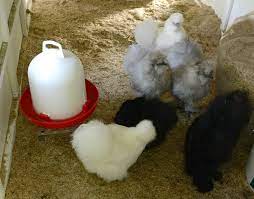 Die seumannstraße hat eine nahverkehrsanbindung zur straßenbahn und zum bus. Kita Seumannstrasse