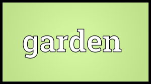 Use dry ginger as a spice. Garden Meaning Youtube