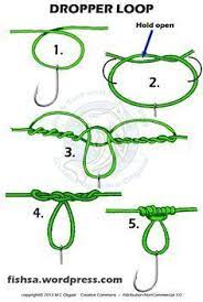 Drop Shot Loop Knot Google Search Fishing Hook Knots Fly Fishing Knots Loop Knot