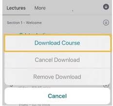 Click on the icon to run the android emulator app on windows. How To Download Udemy Videos And Courses For Free