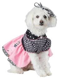 50s Poodle Pooch Large Dog Costume And 50 Similar Items
