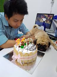 Beefsteak gold 18k dubai at nusret restaurant. Khoa Pug La Ai Ma Khiáº¿n CÆ° Dan Máº¡ng Pháº£i Dáº­y Song Vi Clip Review Resort Aroma Viá»t Nam Má»i