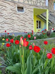 Гостиницы Artavan, Армения | Снять номер от 1456 RUB за ночь | Nochi.com