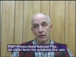 Learning from the Experts