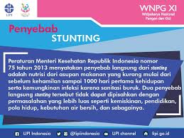 Anak yang menderita stunting akan lebih rentan terhadap penyakit dan ketika dewasa berisiko untuk mengidap penyakit degeneratif. Mengenal Stunting Gejala Dan Dampaknya Pemerintah Kota Madiun