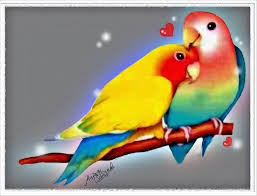 3d Love Bird Wallpaper High Definition In 2020 Bird Wallpaper Birds Wallpaper Hd Beautiful Bird Wallpaper