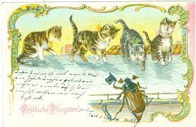 Katze trinkt wasser in slow motion sommergrüße für whatsapp. Pfingsten Katzen Bestaunen Maikafer Farb Litho Ansichtskarten Briefmarken