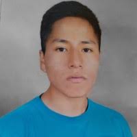 30+ "Luis Aquise" profiles