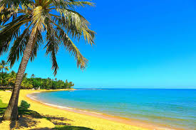 Apr 07, 2021 · the latest tweets from esporte clube bahia (@ecbahia). Salvador And Bahia Coast Sun Safaris