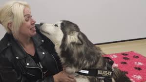 Fundraiser for Susan Irvin by Demi Murray : HELP FOR LILLY