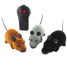 Uzaktan Kumanda Kablosuz Denetleyici Rc Sican Fare Fareler Hameln Hayvan Oyuncaklar Icin Kedi Kopek Yavru Teaser Oynama Pet Oy With Images Pet Cat Toys Pet Kitten Cat Toys