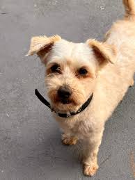 How's this for clean!