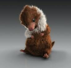 Fantastic Beasts Baby Niffler Fantasticbeasts Crimesofgrindelwald Newtscarmander Fantastic Beasts Creatures Harry Potter Fantastic Beasts Fantastic Beasts