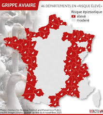 Poulets mis en quarantaine en allemagne après une alerte de grippe aviaire. Sante Grippe Aviaire 46 Departements Passent En Risque Eleve