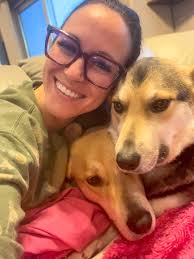 Benny's owner passed away unexpectedly in her sleep & he stayed by her side  for days until they were found🩵 He came into rescue absolutely heartbroken  & grieving the loss of his