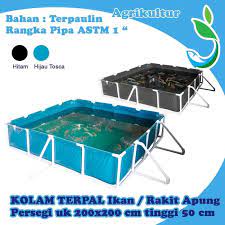 Yang mahal itu bikin raknya beli besi siku lubang lubang yang tebal udah lengkap dengan baut, siku, dan kaki pelastiknya, merek artco beli 2 pack. Jir79 Kolam Terpal Knock Down Persegi 200x200x50cm Pengganti Kolam Shopee Indonesia
