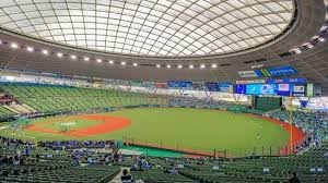 Metlife Dome Tokorozawa 2019 All You Need To Know Before