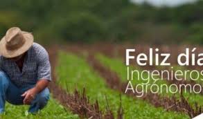 Ver la normativa oficial del incual (instituto nacional. Guia Virasoro Hoy Se Celebra El Dia Del Ingeniero Agronomo Y Del Medico Veterinario