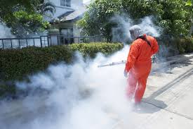 Hire a reliable exterminator in singapore today. How To Start A Pest Control Business In Singapore Pest Control Singapore