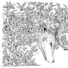 Animorphia Coloring Book Printable Animorphia Coloring Book Animorphia Coloring Monster Coloring Pages