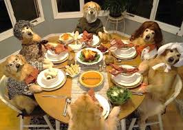 Spare your pet a visit to the vet by following these tips: Are Those Thanksgiving Leftovers Safe For Your Dog Hilarious Hound