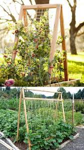 24 Easy Diy Garden Trellis Ideas Best Plant Structures Diy Garden Trellis Garden Trellis Designs Garden Trellis