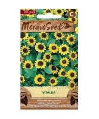 Image result for foto Vitálka