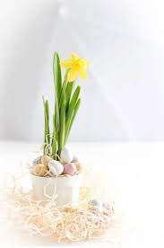 Daffodil (comparative more daffodil, superlative most daffodil) of a brilliant yellow color, like that of a daffodil. 2