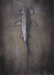 Winkstink Shark Drawing Hammerhead Shark Tattoo Shark Tattoos