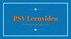 Check spelling or type a new query. Online Lehrangebot Seelze Meeresreiters Webseite