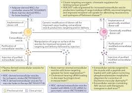 We did not find results for: Rna Delivery By Extracellular Vesicles In Mammalian Cells And Its Applications Nature Reviews Molecular Cell Biology