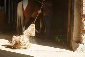 20 Things No Horse Owner Should Have In Their Barn Horse Rider
