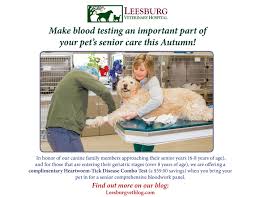 Passionate pet care for your best friend. Pin On Pet Health Veterinary Education