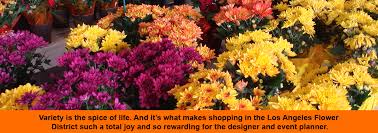 Cfm is a community of 30 family owned floral trade businesses supplying florists, resellers, and the public with farm fresh cut flowers, roses, indoor and outdoor plants, orchids, floral supplies, gifts. Los Angeles Flower District