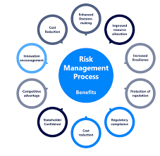 Image result for Risk Management