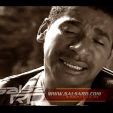 Stream Silvana Castillo Hübner