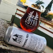 Ales, öğrencilerin bu zamana kadar girdiği birçok sınavdan, yoğun bilgi gerektirmemesi ve mantıksal düşünmeyi ön plana almasıyla ayrılıyor. Criminal Red Ale Guira Brewing Co Untappd
