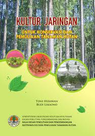 Kultur jaringan adalah metode untuk memperbanyak tumbuhan dari kultur jaringan dilakukan pada lingkungan yang terisolasi dan bebas hama, juga media dengan nutrisi tepat untuk pertumbuhan sel. Effects Of Thidiazuron And Light Treatments On The Mean Of Somatic Download Scientific Diagram