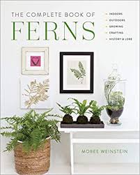 Order flowers for any occasion and recipient to brighten their day and foster love in your relationships. Ferns Fairfax Gardening