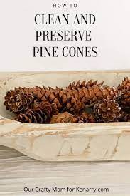 How To Preserve Pine Cones To Use For Home Decorating