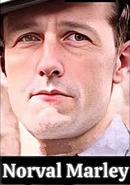 Seeds of Albert Marley grandfather of Bob Marley📌❤️👑