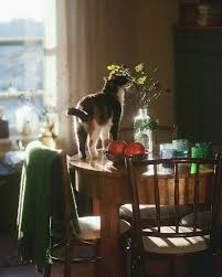 home おしゃれまとめの人気アイデア pinterest syu asayuki ビジュアルアート くつろぎの休日 ダークビューティー