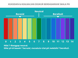 Bahan berasid menukarkan warna kertas litmus biru menjadi merah. Pemakanan Sihat Apakah Diet Beralkali Dan Adakah Ia Bermanfaat Untuk Saya Prudential Bsn Takaful