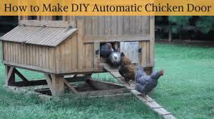 Use some stainless steel nuts and bolts to attach the brackets to the panel and to the attach the panel to the mount. Diy Automatic Chicken Coop Door Chicken Coop Door Ideas