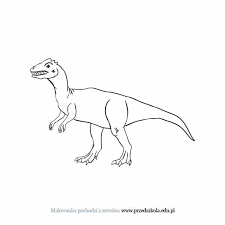 W tym miejscu zbierzemy kolekcję dinozaurów do wydrukowania i pokolorowania. Dinozaur Kolorowanka Darmowe Kolorowanki I Malowanki Dla Dzieci Dinozaur Do Druku